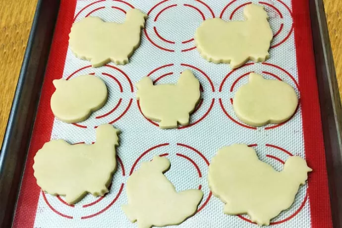 Turkey & Pumpkin Sugar Cookies ready to bake