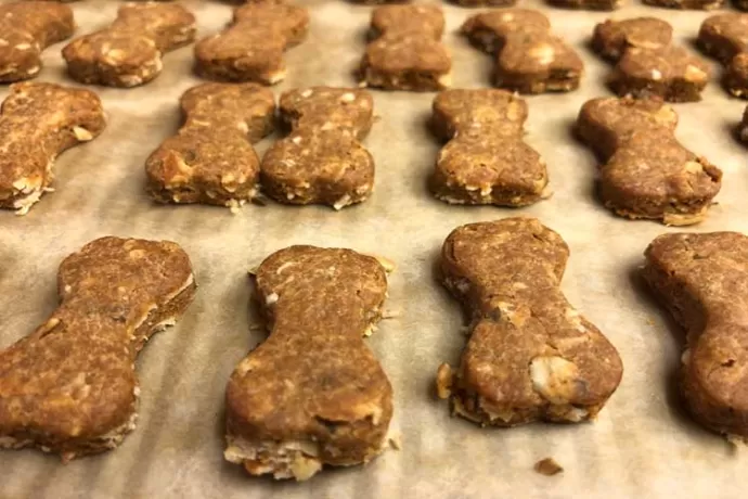 Doggie Biscuits cooling on the sheet pan